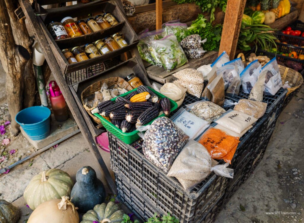 Oaxaca 2024 NYE Emily L-135