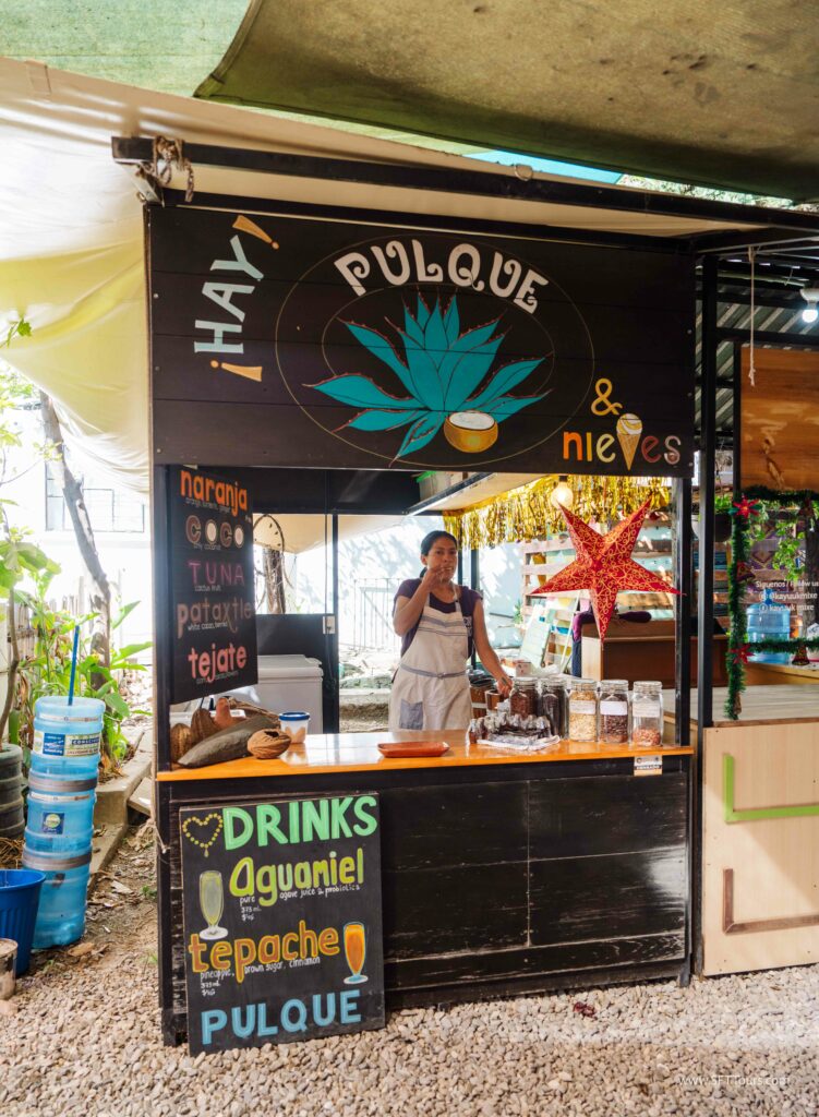 Oaxaca 2024 NYE Emily L-136