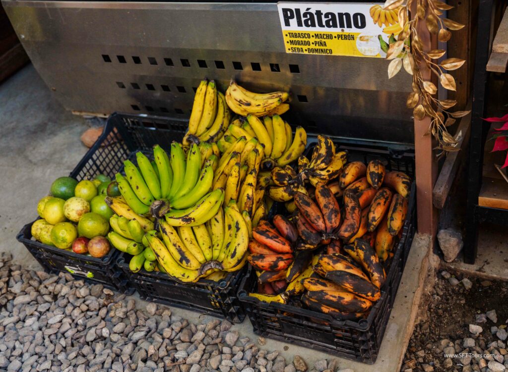 Oaxaca 2024 NYE Emily L-138