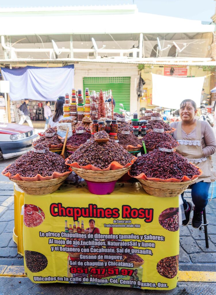 Oaxaca 2024 NYE Emily L-173