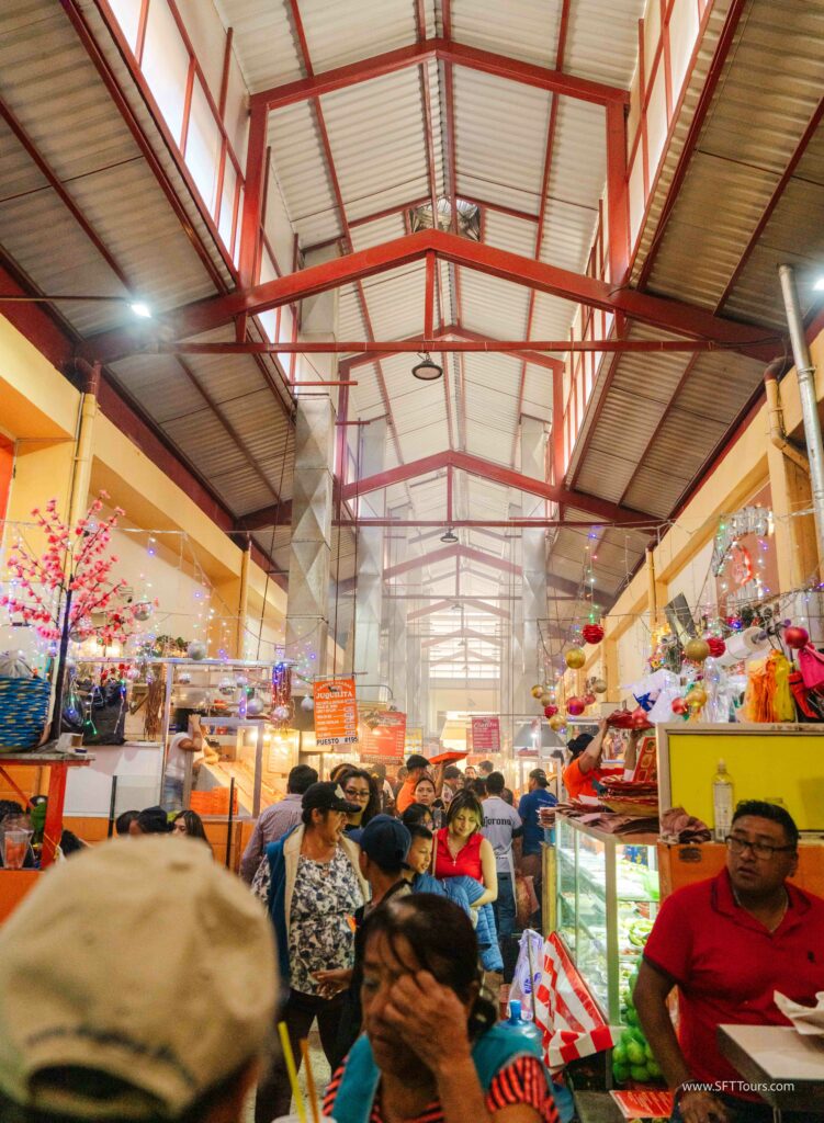 Oaxaca 2024 NYE Emily L-176