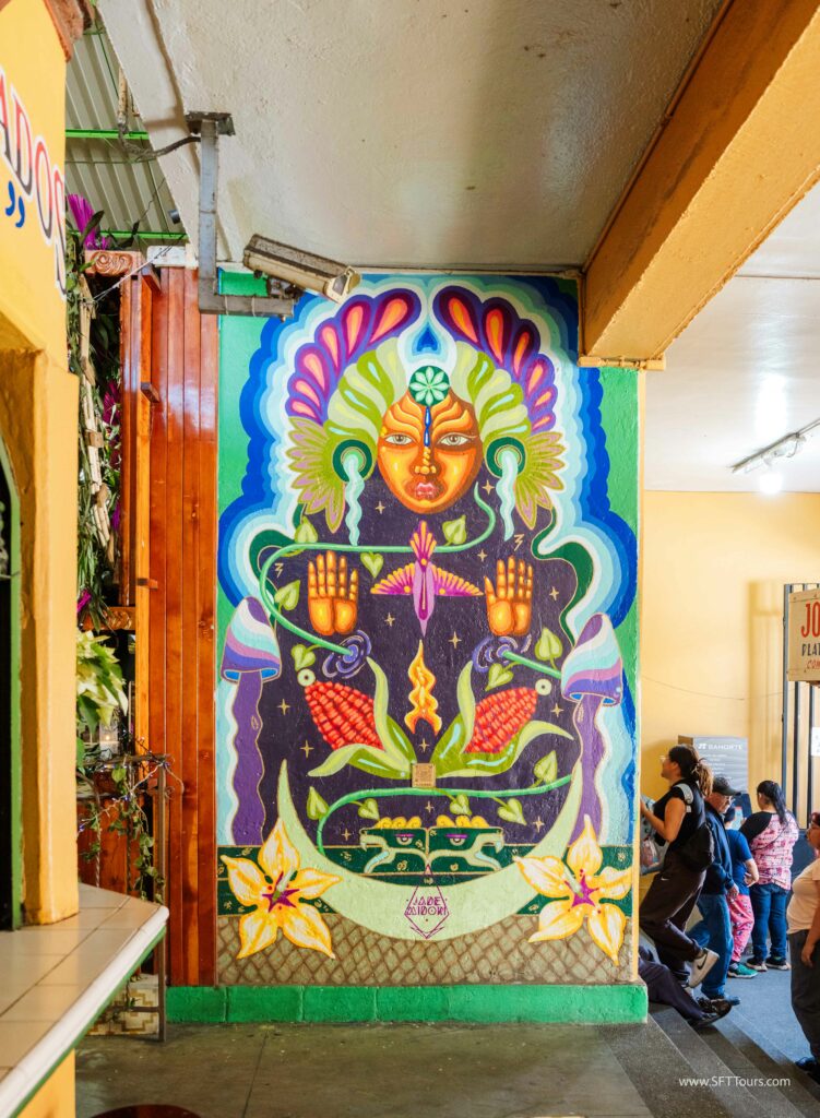 Oaxaca 2024 NYE Emily L-187