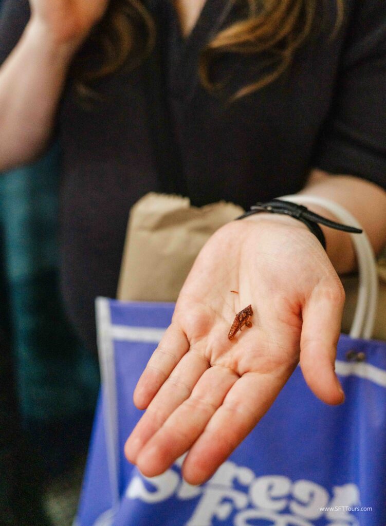 Oaxaca 2024 NYE Emily L-192