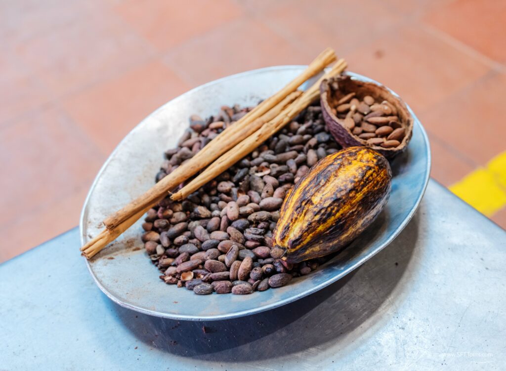 Oaxaca 2024 NYE Emily L-211