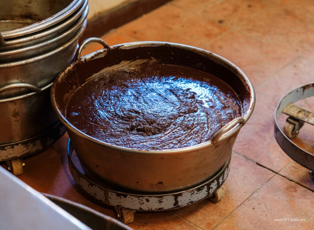 Oaxaca 2024 NYE Emily L-212