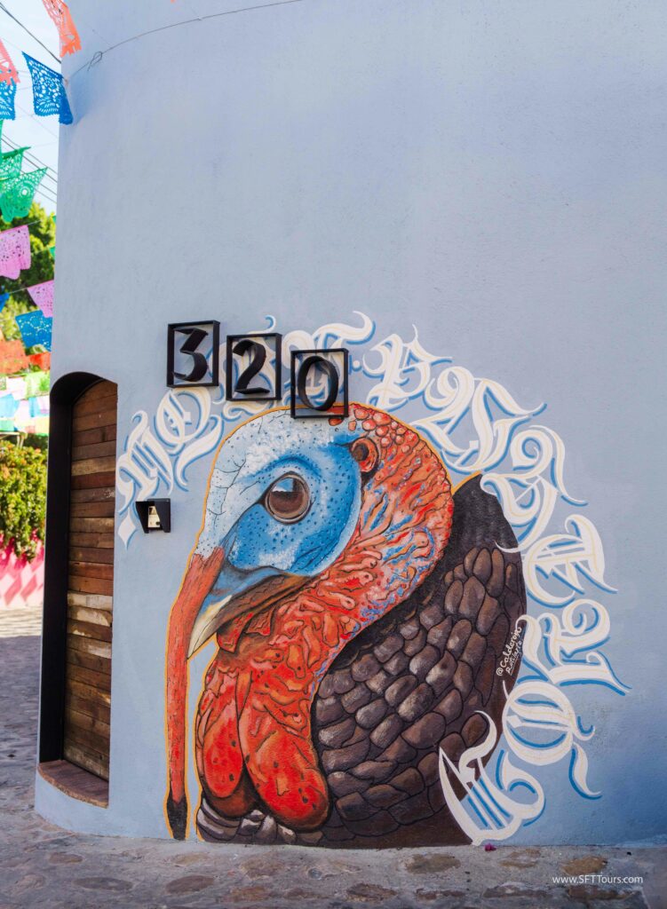 Oaxaca 2024 NYE Emily L-251