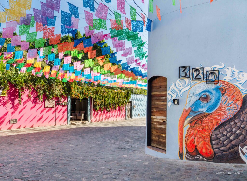 Oaxaca 2024 NYE Emily L-252