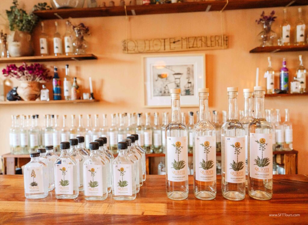 Oaxaca 2024 NYE Emily L-282