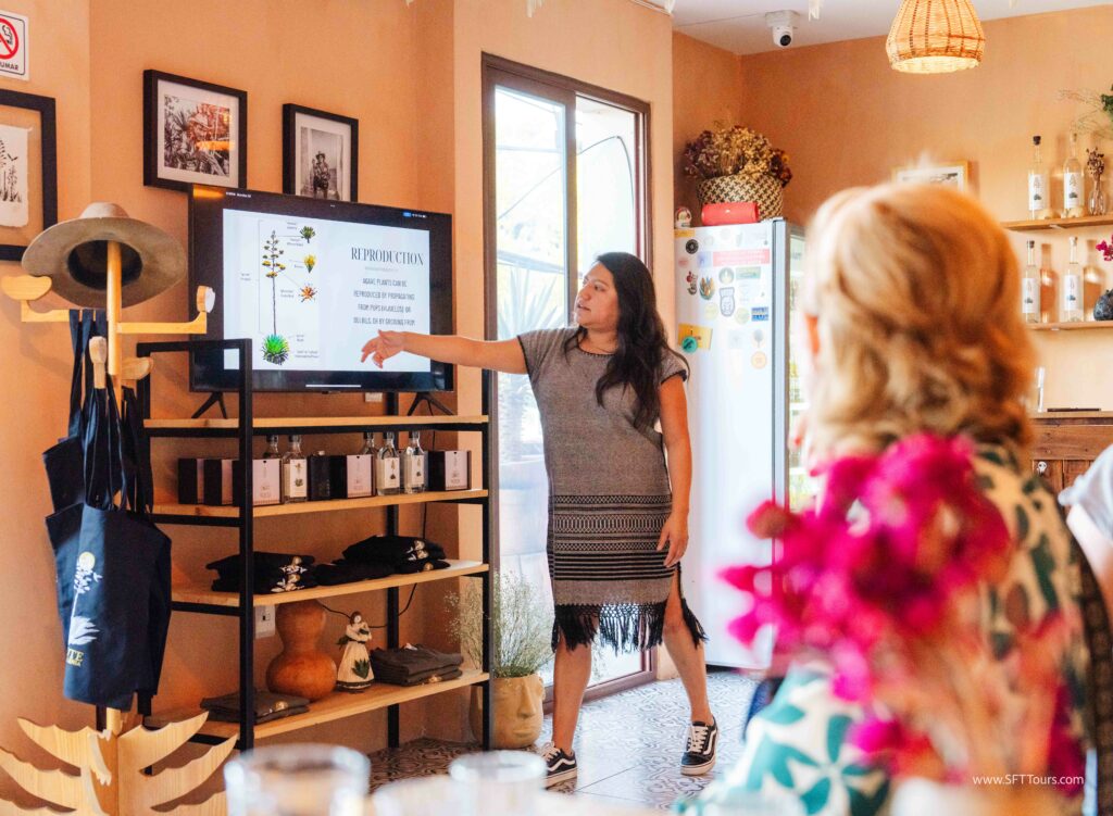 Oaxaca 2024 NYE Emily L-286