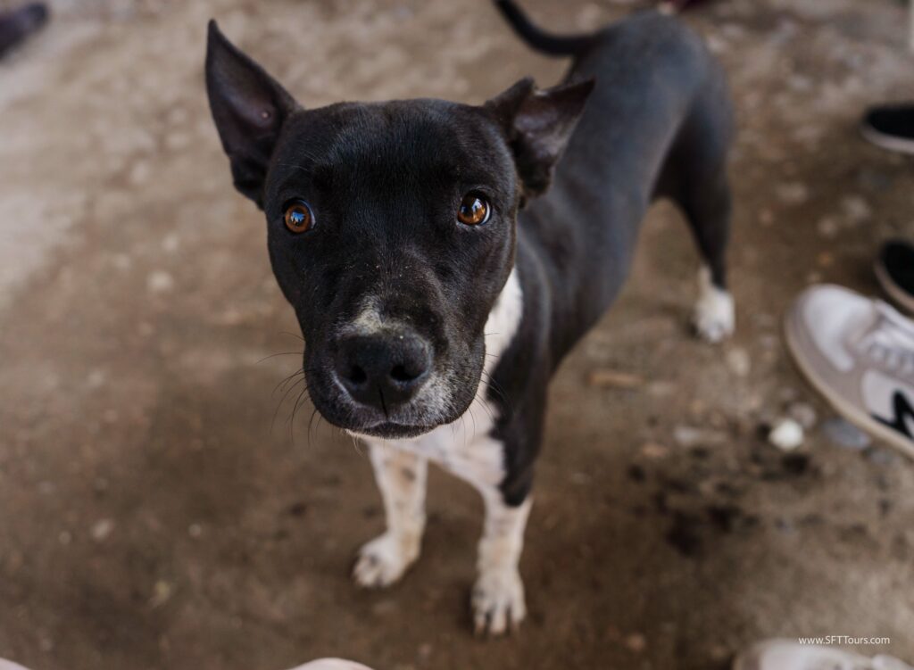 Oaxaca 2024 NYE Emily L-310