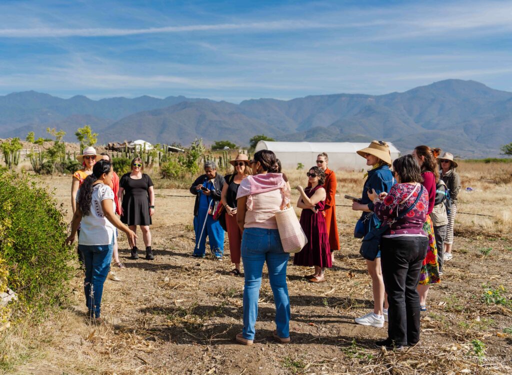 Oaxaca 2024 NYE Emily L-312