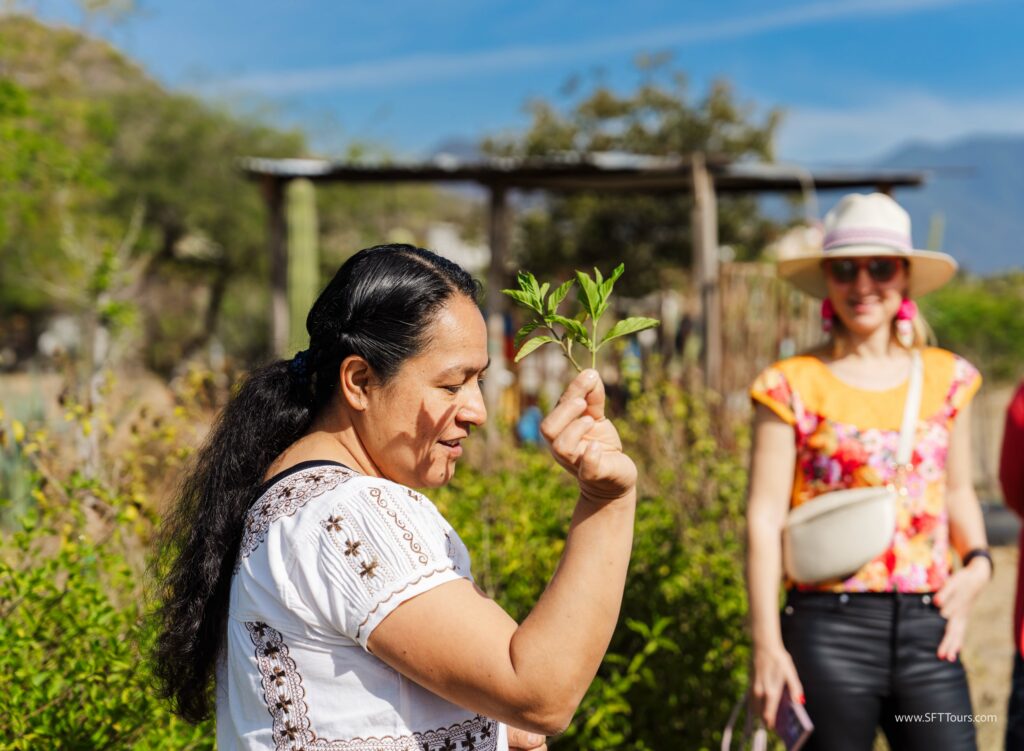 Oaxaca 2024 NYE Emily L-313