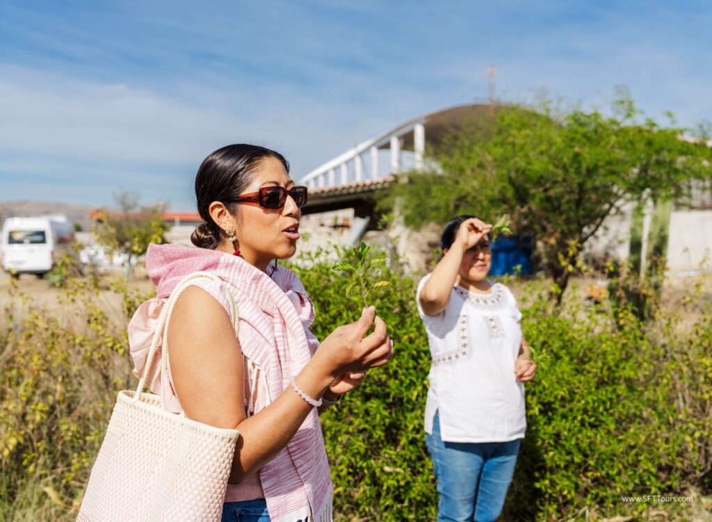 Oaxaca 2024 NYE Emily L-314