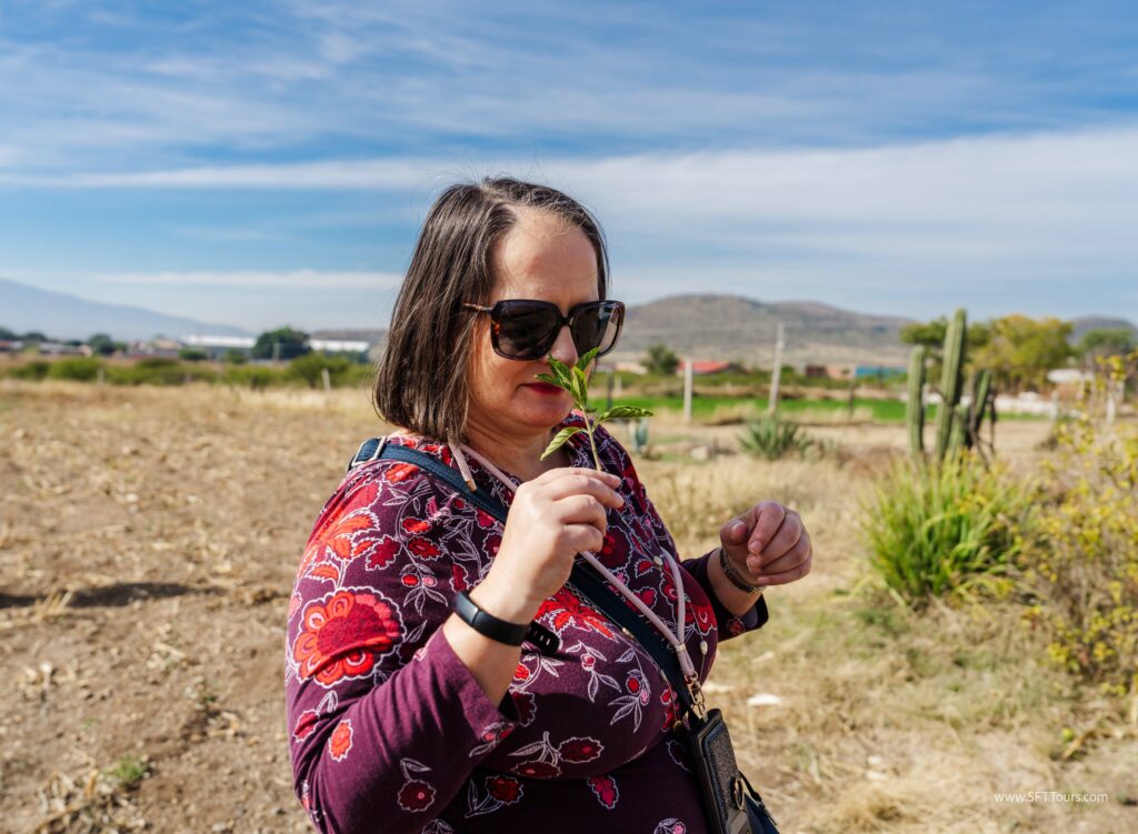 Oaxaca 2024 NYE Emily L-315