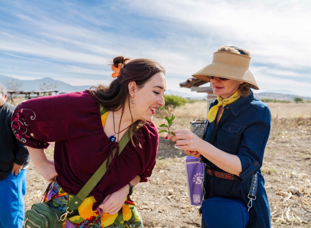 Oaxaca 2024 NYE Emily L-317