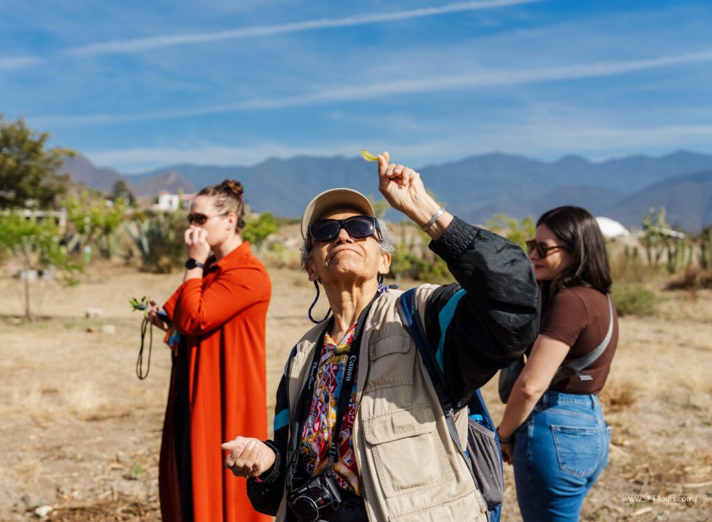 Oaxaca 2024 NYE Emily L-319