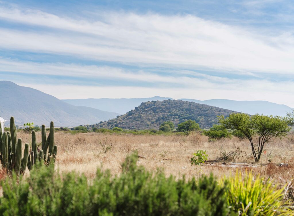 Oaxaca 2024 NYE Emily L-324