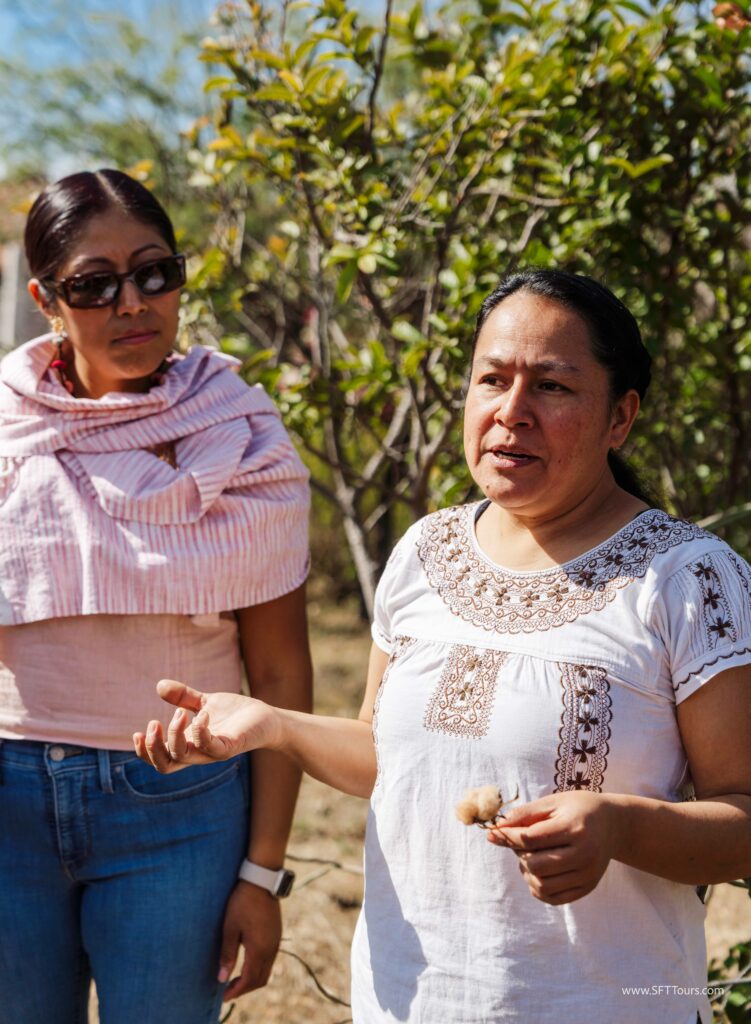 Oaxaca 2024 NYE Emily L-328