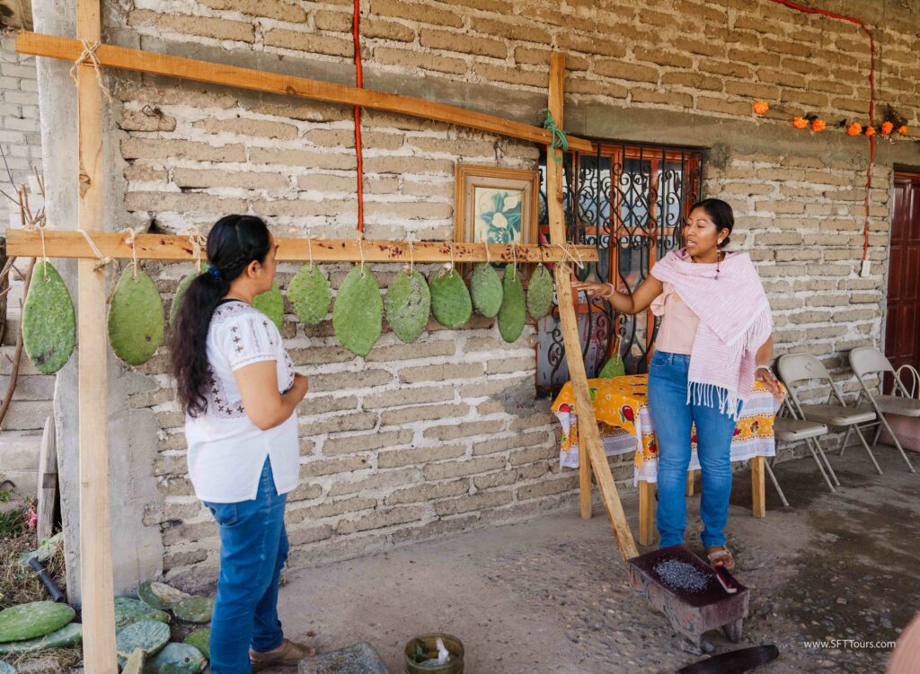 Oaxaca 2024 NYE Emily L-334