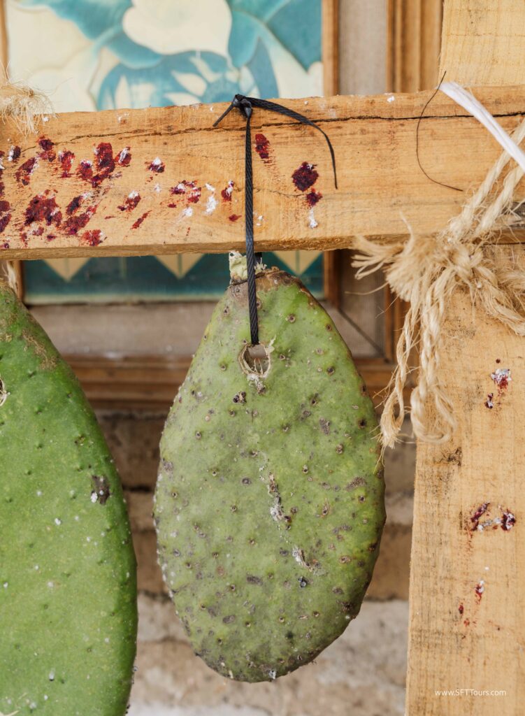 Oaxaca 2024 NYE Emily L-352