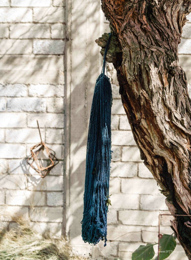 Oaxaca 2024 NYE Emily L-359