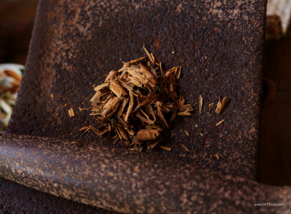 Oaxaca 2024 NYE Emily L-434