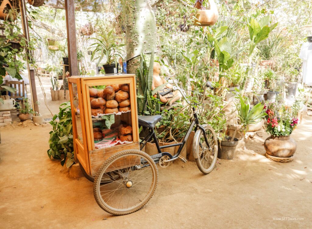 Oaxaca 2024 NYE Emily L-650