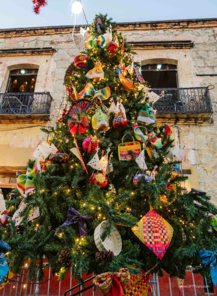 Oaxaca 2024 NYE Emily L-67