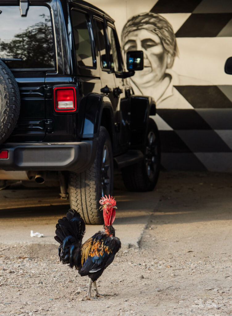 Oaxaca 2024 NYE Emily L-720