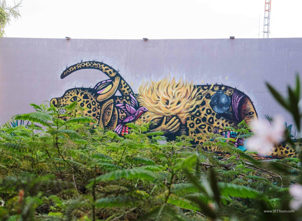 Oaxaca 2024 NYE Emily L-721