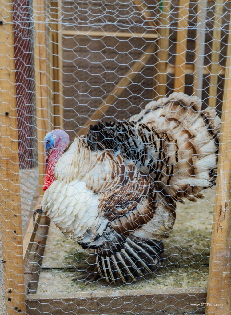 Oaxaca 2024 NYE Emily L-932