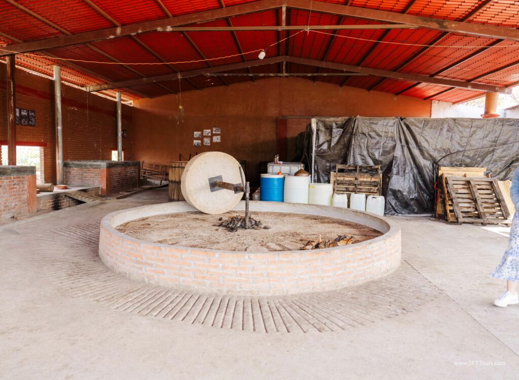 Oaxaca 2024 NYE Emily L-945