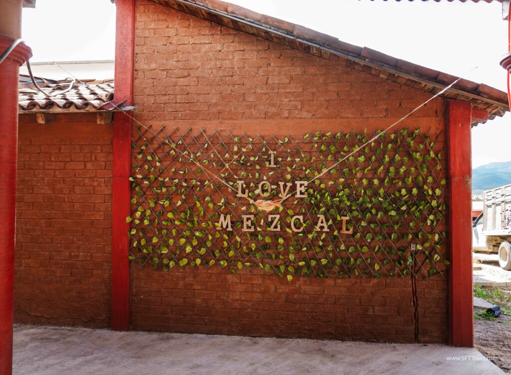 Oaxaca 2024 NYE Emily L-946