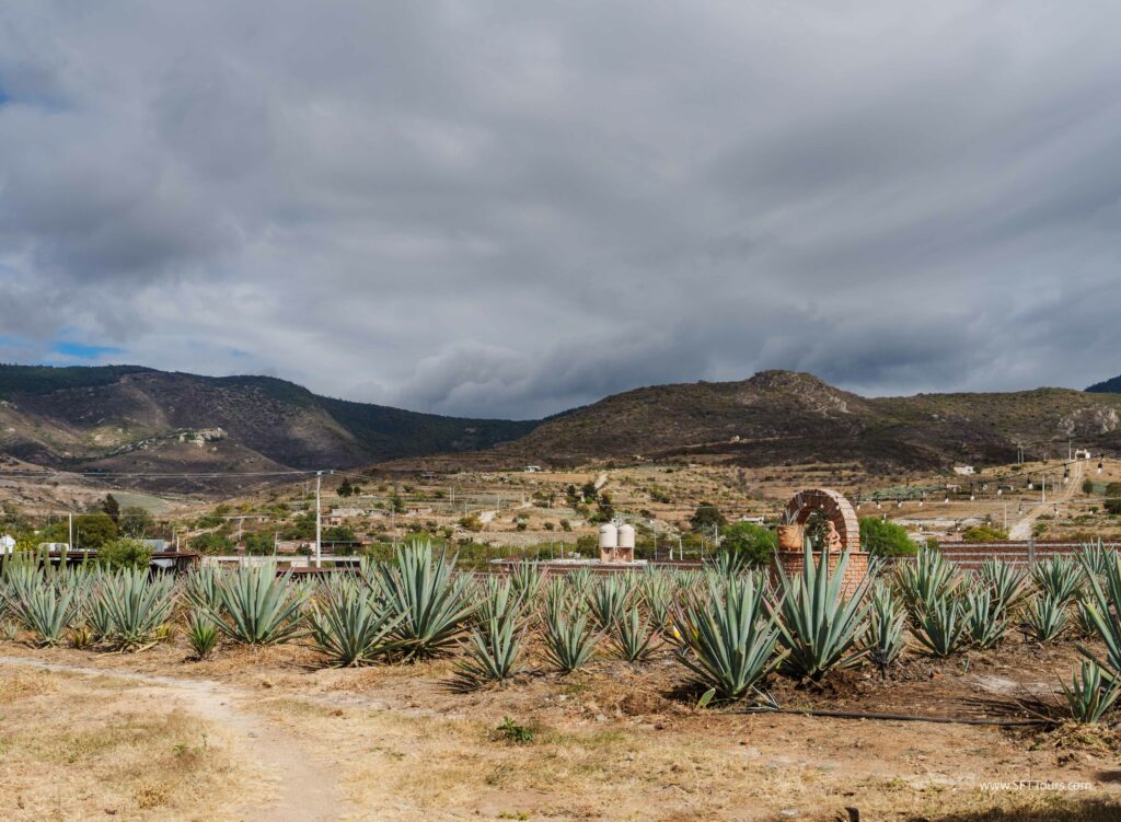 Oaxaca 2024 NYE Emily L-948