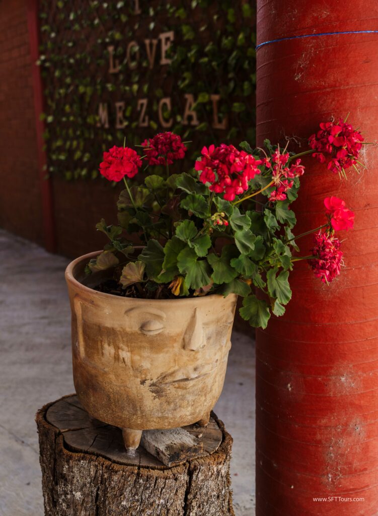 Oaxaca 2024 NYE Emily L-949