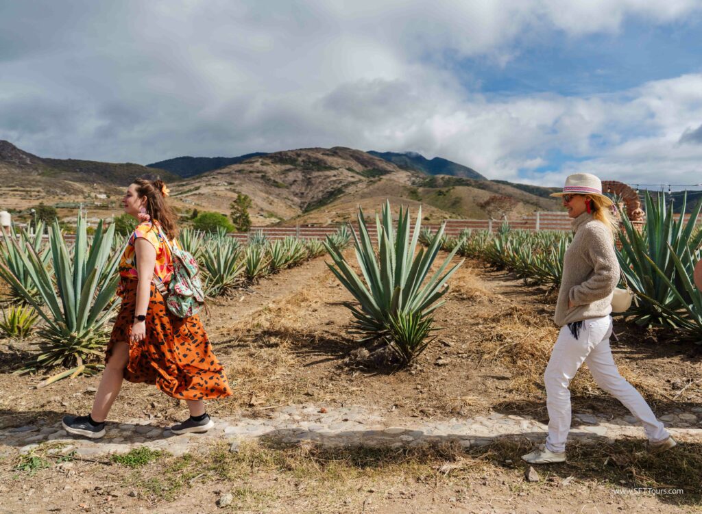 Oaxaca 2024 NYE Emily L-952