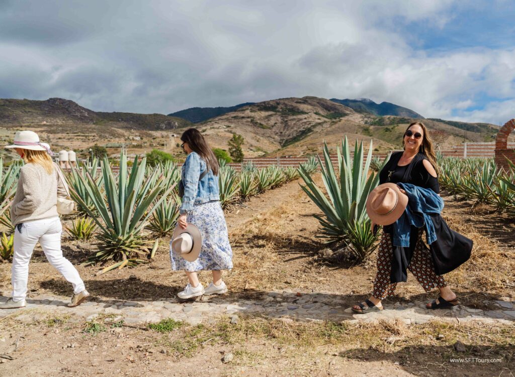 Oaxaca 2024 NYE Emily L-953