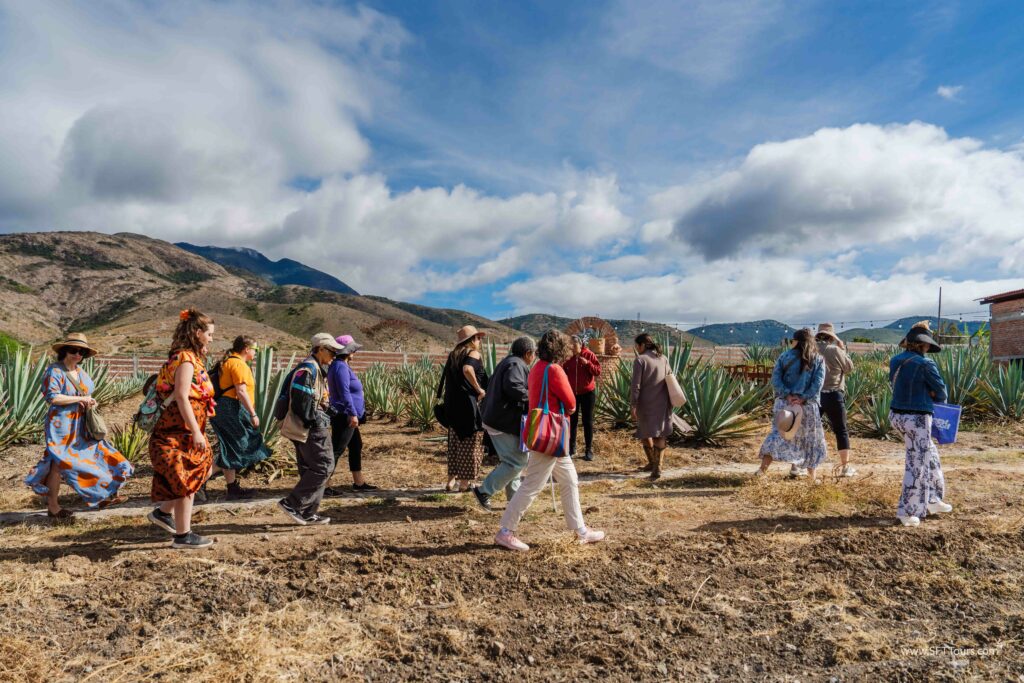 Oaxaca 2024 NYE Emily L-960