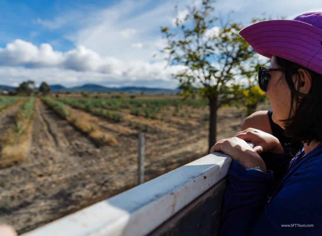 Oaxaca 2024 NYE Emily L-975