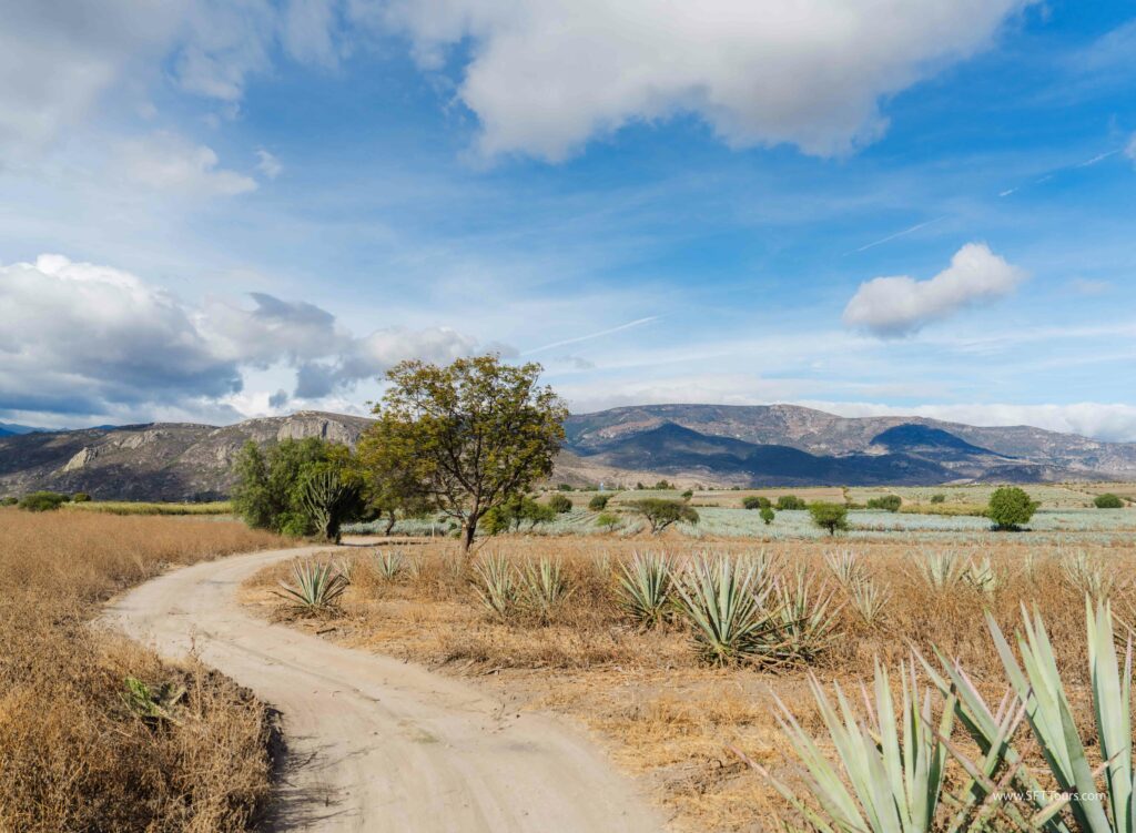 Oaxaca 2024 NYE Emily L-982