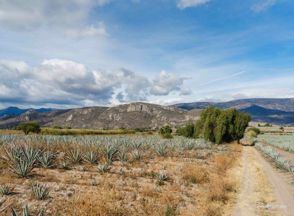 Oaxaca 2024 NYE Emily L-983