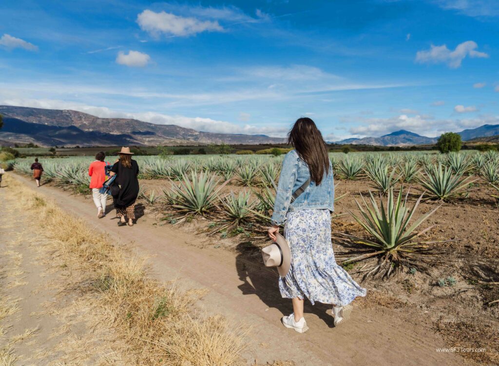 Oaxaca 2024 NYE Emily L-985