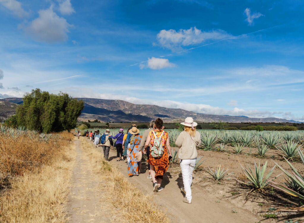 Oaxaca 2024 NYE Emily L-986