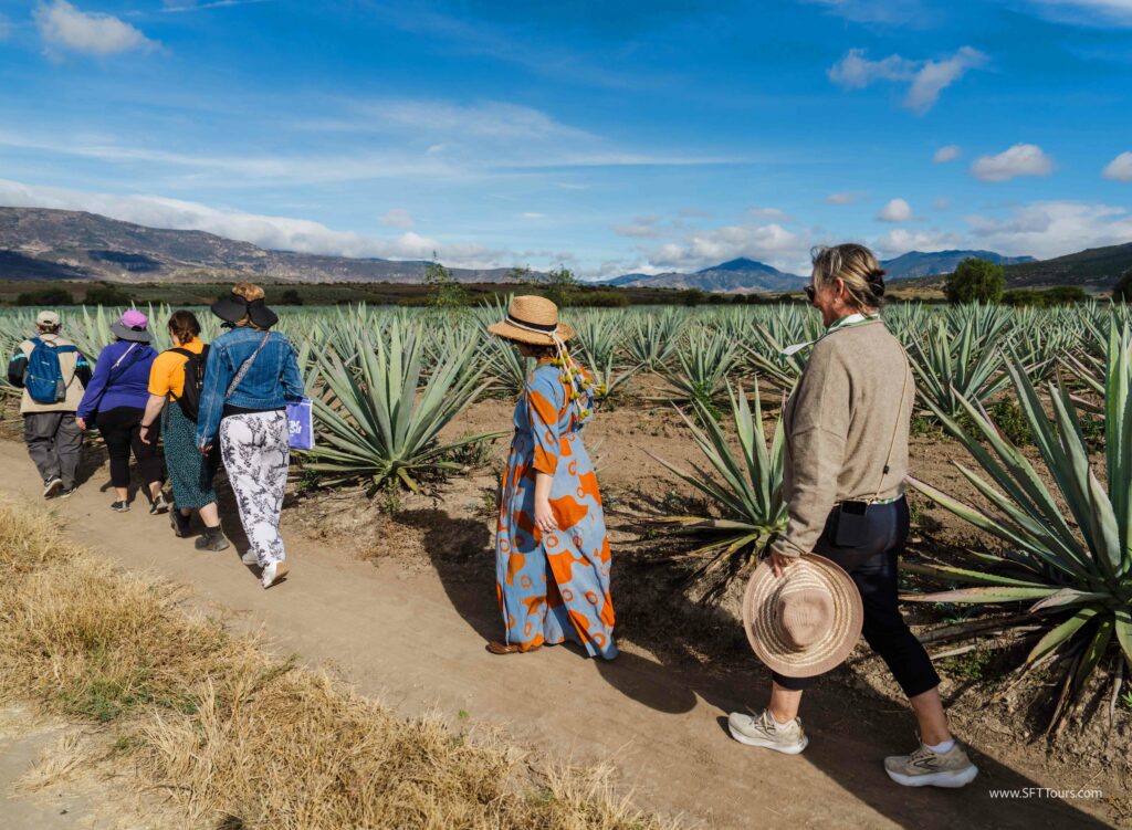 Oaxaca 2024 NYE Emily L-987