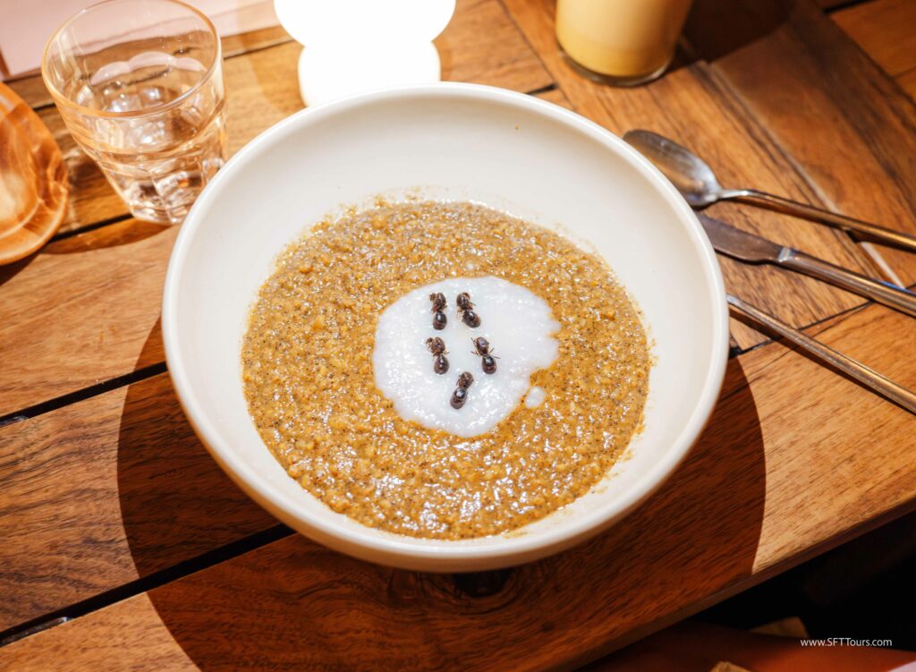 Oaxaca 2024 NYE Emily L-99