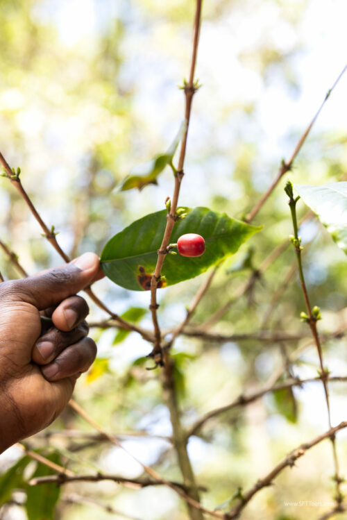 Tanzania_Luxe_Nov24_L-10