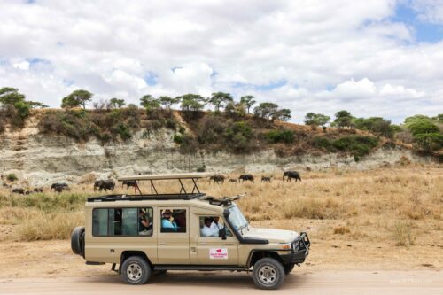 Tanzania_Luxe_Nov24_L-103