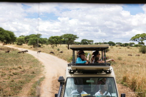 Tanzania_Luxe_Nov24_L-108