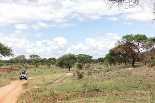 Tanzania_Luxe_Nov24_L-123