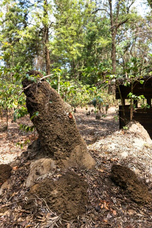 Tanzania_Luxe_Nov24_L-13